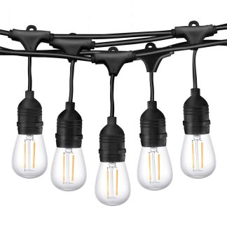 Festoon